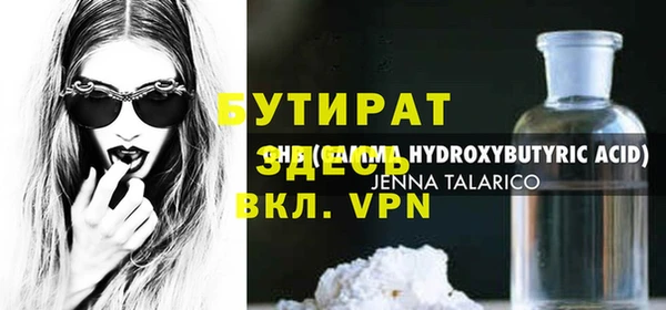 шишки Няндома