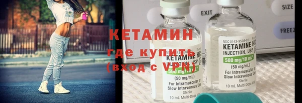 шишки Няндома