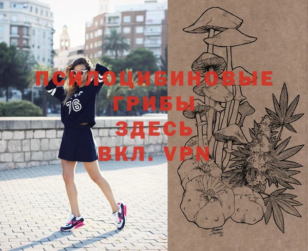 шишки Няндома