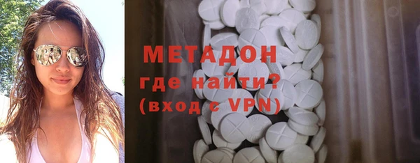 шишки Няндома