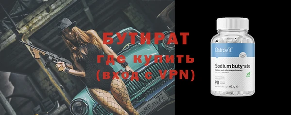 шишки Няндома