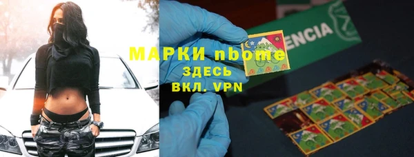шишки Няндома