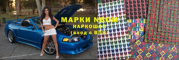 шишки Няндома