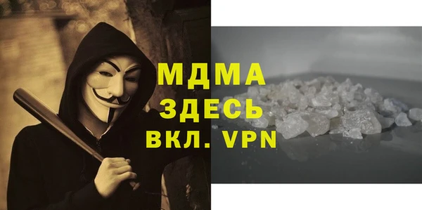 шишки Няндома