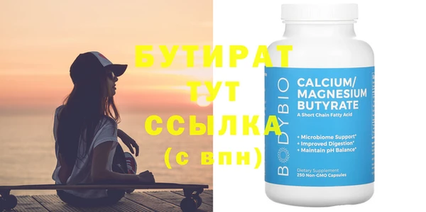 шишки Няндома