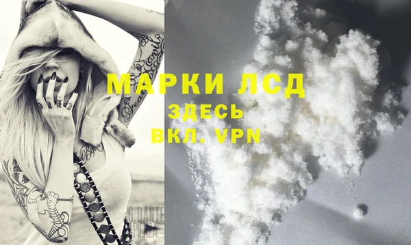 шишки Няндома