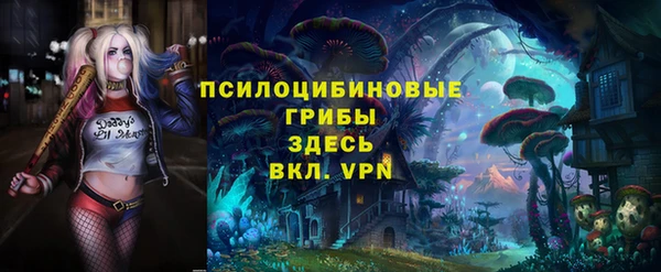 не бодяженный Нязепетровск