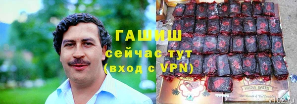 шишки Няндома
