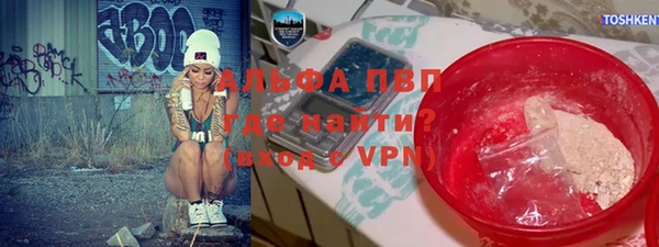 шишки Няндома