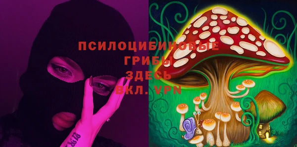 а пвп мука Новодвинск