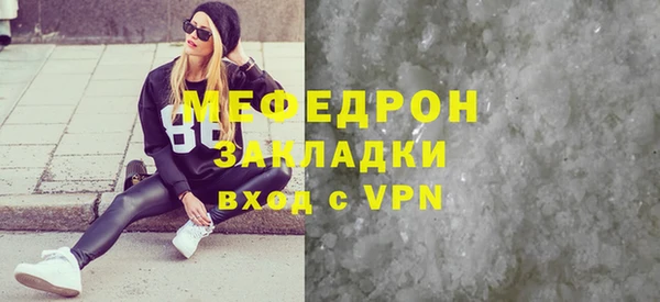 шишки Няндома