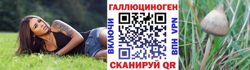 блэк спрут ссылки  Люберцы  дарк нет телеграм  Псилоцибиновые грибы прущие грибы 
