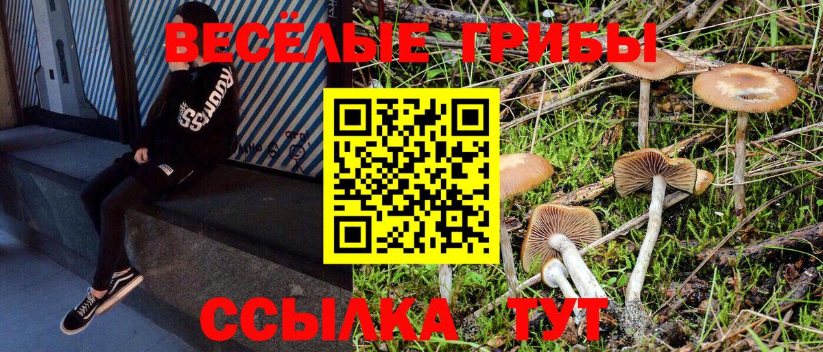 Псилоцибиновые грибы MAGIC MUSHROOMS  Люберцы 