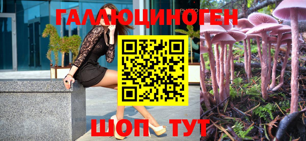 Псилоцибиновые грибы Cubensis Люберцы